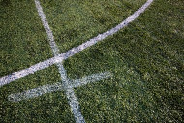 Futbol Çimi
