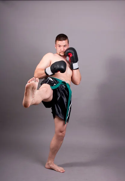Kick-boxeador —  Fotos de Stock