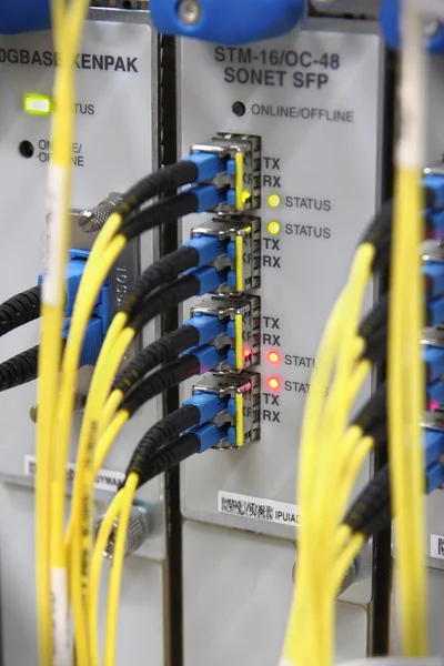 光纤缆线连接到路由器端口 — 图库照片