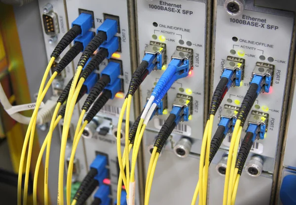 Optikai kábelek kapcsolódik az útválasztó portjainak — Stock Fotó