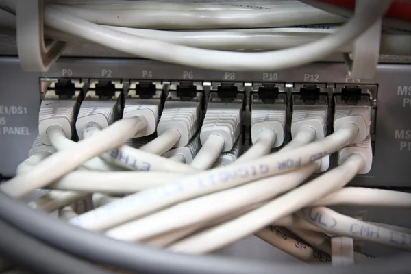 UTP kablo ağı — Stok fotoğraf