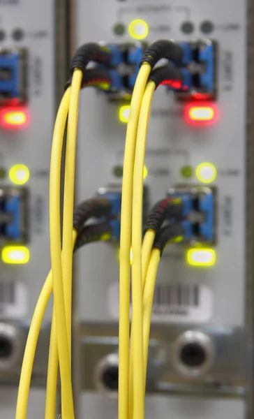 Glasfaserkabel an Router-Ports angeschlossen Stockfoto