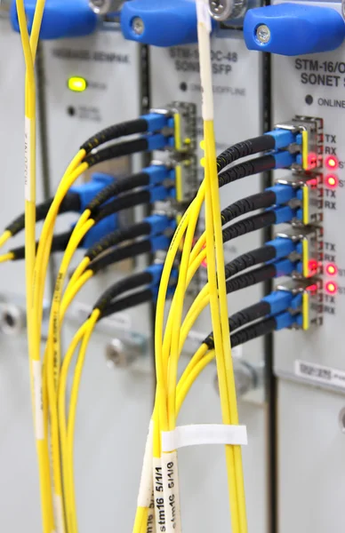 Optic kabels aangesloten op de routerpoorten Stockfoto