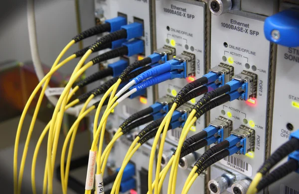 Optic kabels aangesloten op de routerpoorten Stockafbeelding