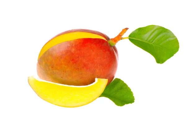 Mango fresco — Foto Stock