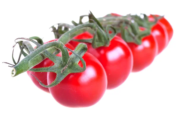 Świeże pomidory wiśniowe — Zdjęcie stockowe