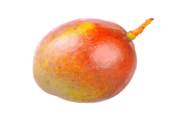 Friss mangó — Stock Fotó