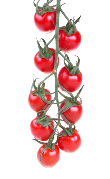 Tomates cherry frescos — Foto de Stock