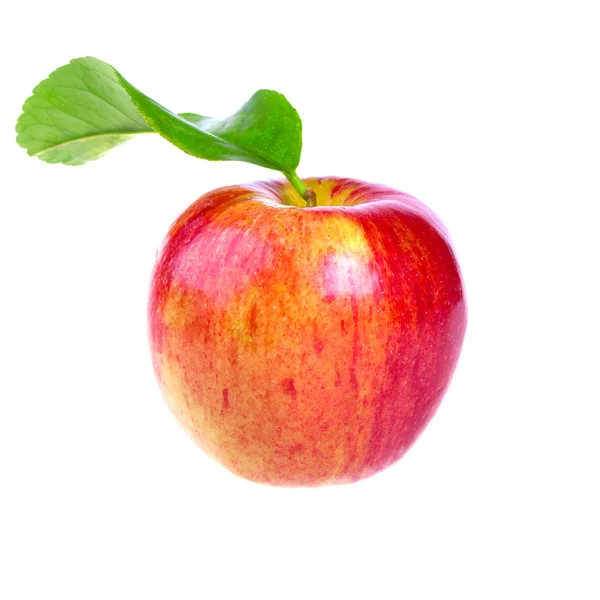 Yaprak taze kırmızı elma — Stok fotoğraf