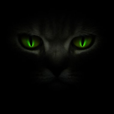 Cat's eyes glowing in the dark clipart