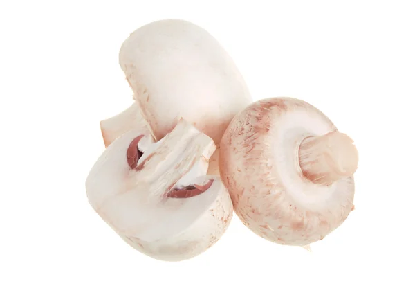 Fresh white champignons — Stock Photo, Image