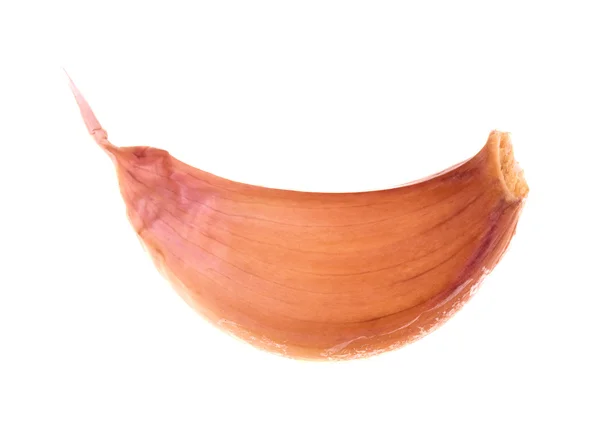 Garlic clove — Stock Photo, Image