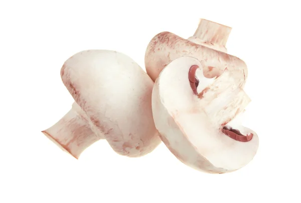 Champignons bianchi freschi — Foto Stock