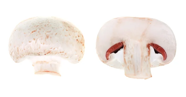Halved mushroom — Stock Photo, Image