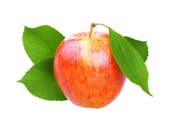 Свежее яблоко с листом — стоковое фото