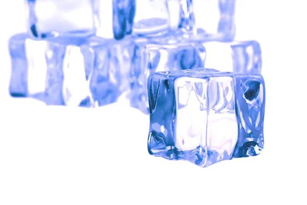 Ice cubes Stock Image