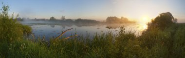 Dawn bir sis Nehri üzerinde.