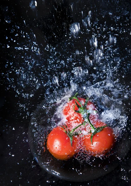 stock image Tomatoes