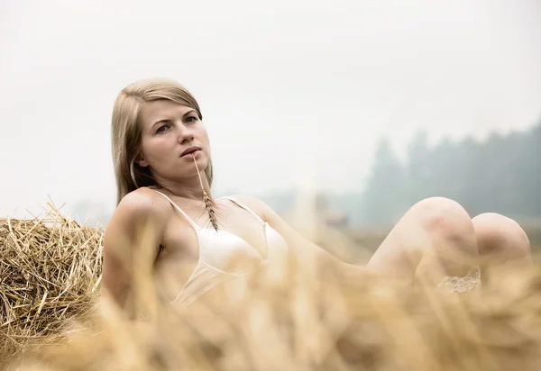 Молодая сексуальная женщина среди соломы . — стоковое фото