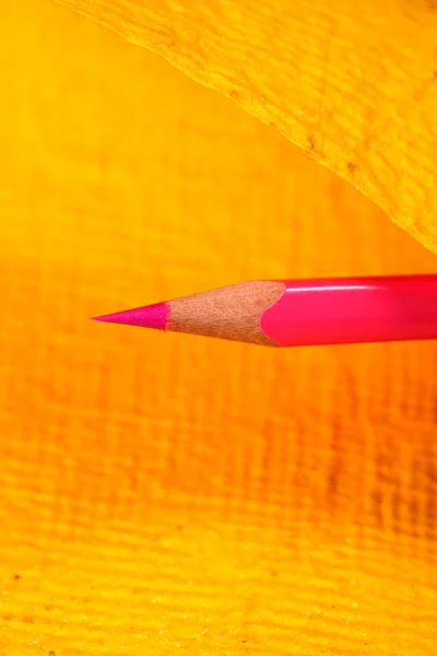 Crayon multicolore — Photo