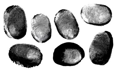 Fingerprint clipart