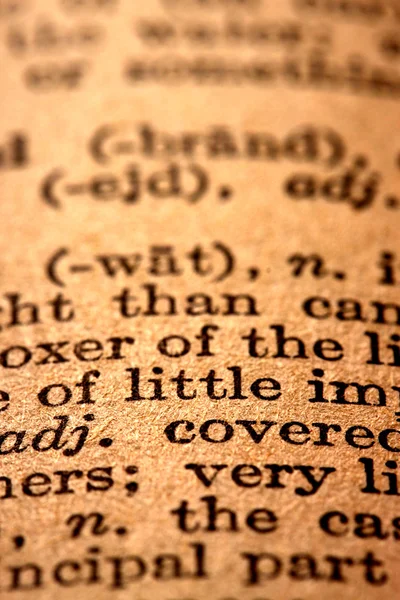 Dictionary text — Stock Photo, Image