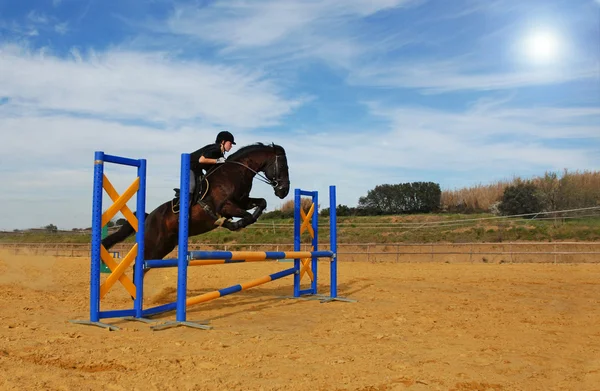 Hoppning häst — Stockfoto