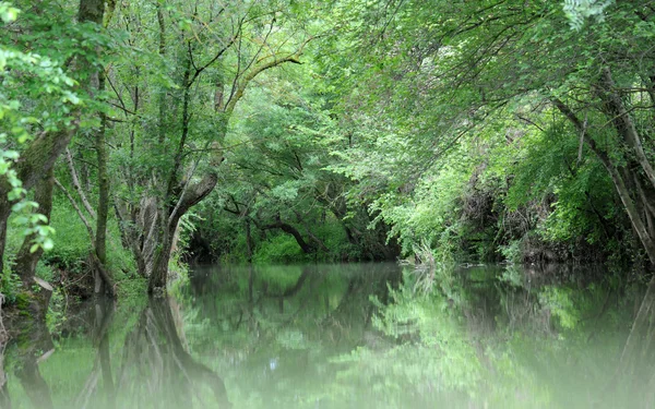 Stock image River