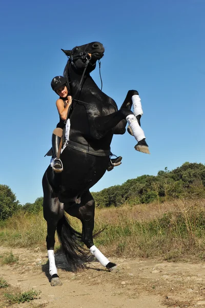 Chov koní — Stock fotografie