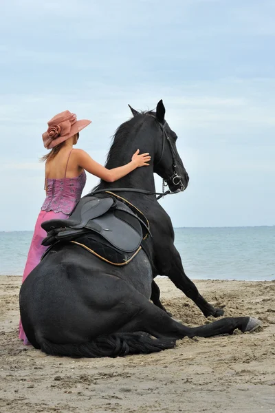 Сидящая лошадь на пляже — стоковое фото