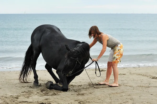 女孩和马在沙滩上 — 图库照片