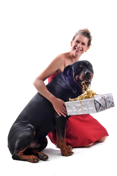 Rottweiler, cadeau en vrouw — Stockfoto