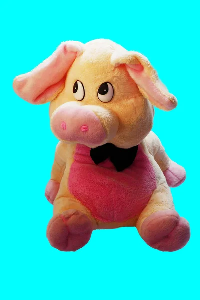 Piggy tiener — Stockfoto