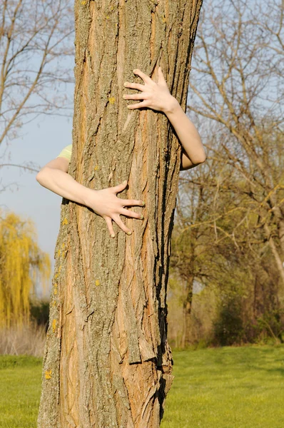 Treehugger — Stok fotoğraf