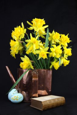 Daffodils for Easter clipart