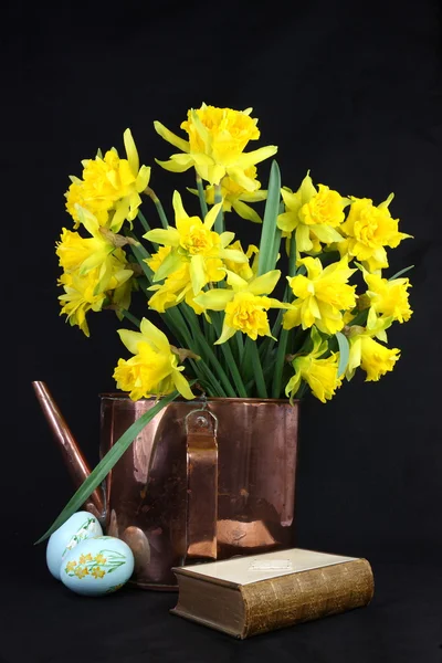 Daffodils de Páscoa — Fotografia de Stock