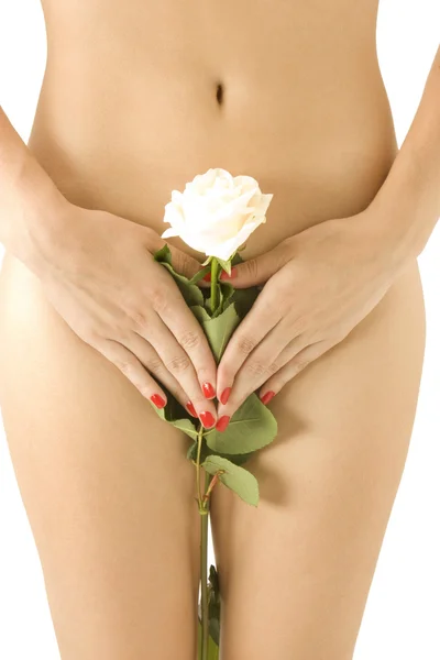 Kvinnan kropp med vit ros — Stockfoto