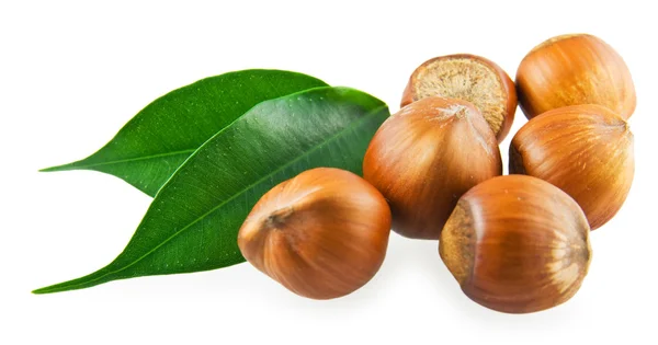 Somewhat hazelnuts and the green leaves — Stock Photo, Image
