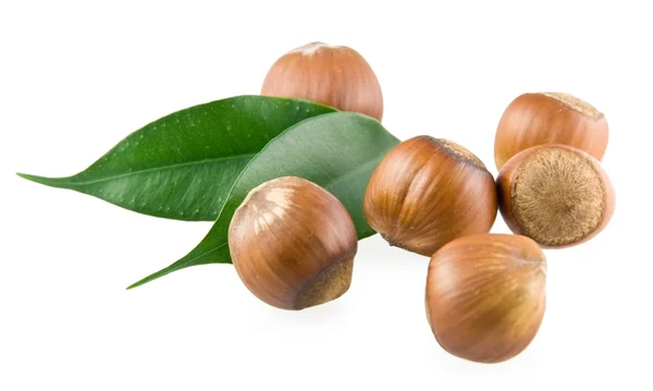 Poněkud lískových ořechů a zelené listy — Stock fotografie
