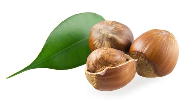 Орешки и зеленый лист — стоковое фото