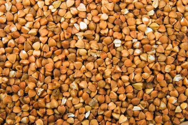 Textura de trigo sarraceno —  Fotos de Stock