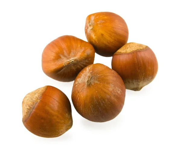 Some hazelnuts, very close — Stock Photo, Image