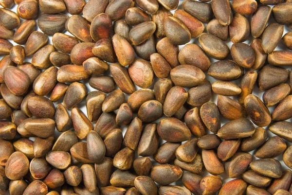 Background from pine nuts — Stock Photo, Image