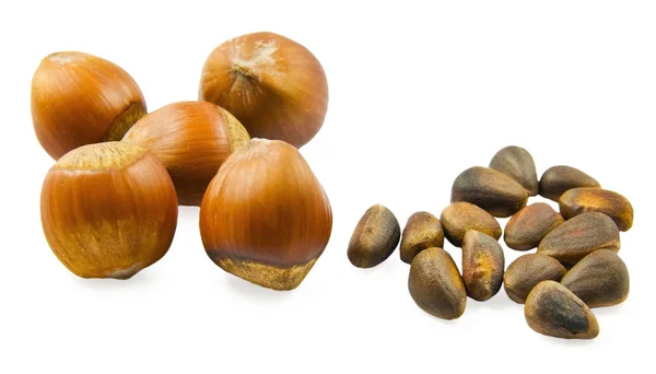 Hazelnuts and pine nuts — Stock Photo, Image