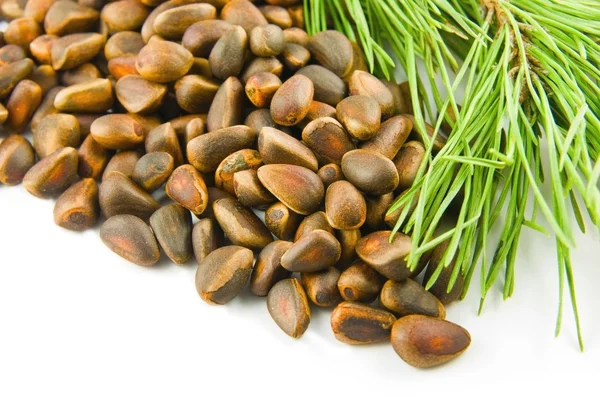 Pine nuts and branch at right — Stock Photo, Image