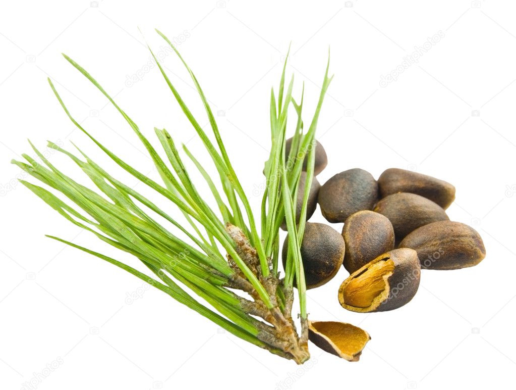 Pine nut with broken shell