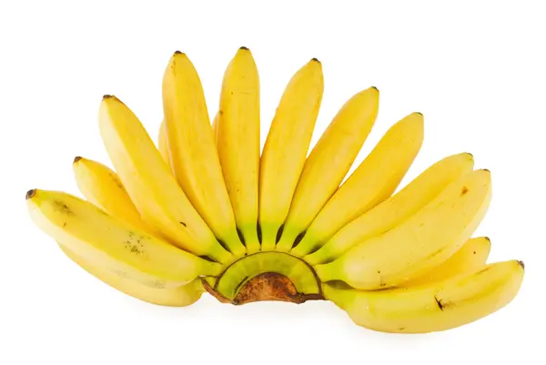 Branch of banans — Stock Photo, Image