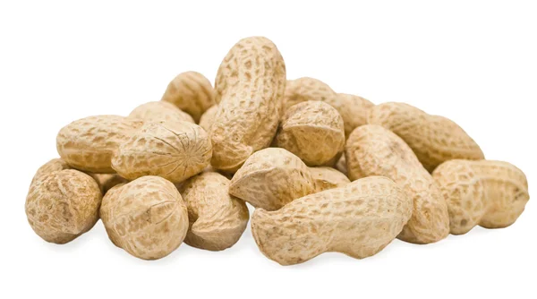 Peanut on white background — Stock Photo, Image