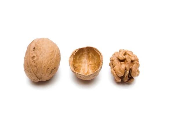 stock image Walnuts