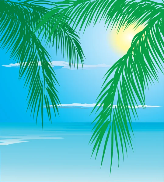 Tropical palm — Stock Vector